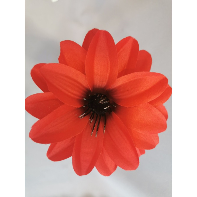 Dahlia