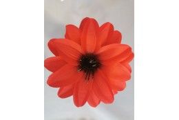 Jiřina Dahlia červená vazbová Ø 12 cm