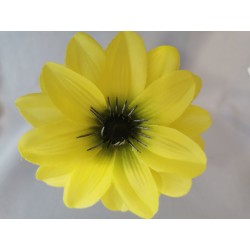 Jiřina Dahlia zelená vazbová Ø 12 cm