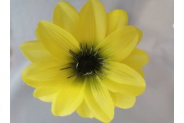 Jiřina Dahlia zelená vazbová Ø 12 cm