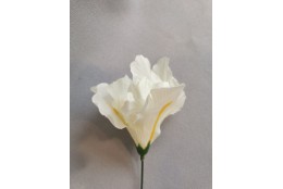 Iris krémový vazbový 8*10 cm