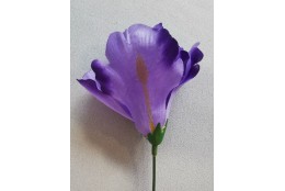 Iris fialový vazbový 8*10 cm
