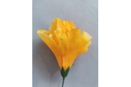 Iris oranžový vazbový 8*10 cm