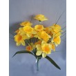 Narcis kytice, 3 barvy