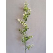 Eukaliptus plast, 3 barvy