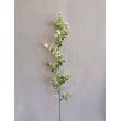Eukaliptus plast, 3 barvy