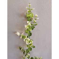 Eukalyptus plast bílý 58 cm