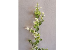 Eukalyptus plast bílý 58 cm