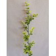 Eukaliptus plast, 3 barvy