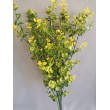 Eukaliptus plast, 3 barvy