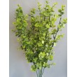 Eukaliptus plast, 3 barvy