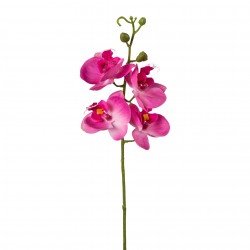 Orchidej růžová 44 cm