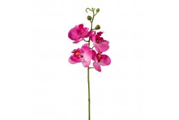 Orchidej růžová 44 cm