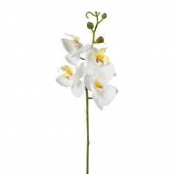 Orchidej bílá 44 cm