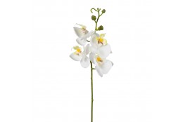 Orchidej bílá 44 cm
