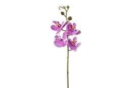 Orchidej fialová 44 cm
