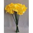 Narcis, 3 květy