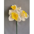 Narcis, 3 květy
