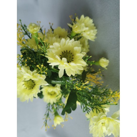 Gerbera kytička, 6 barev