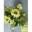 Gerbera kytička, 6 barev