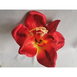 Amarylis červená vazbovka Ø 14 cm