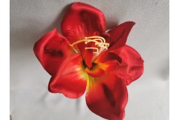 Amarylis červená vazbovka Ø 14 cm