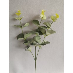 Větvička eukalypthus zeleno-šedá 50 cm