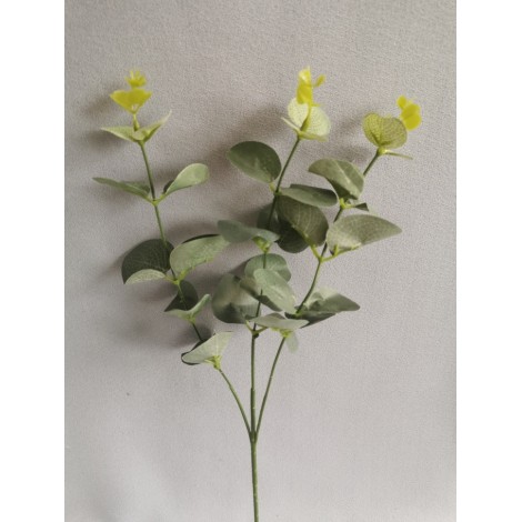 Větvička eukalypthus
