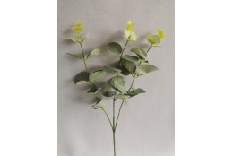 Větvička eukalypthus zeleno-šedá 50 cm