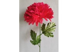 Chryzantéma beauty velká 66 cm