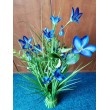 Dekorační tráva kvetoucí modrá