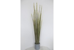 Dekorační tráva Sanseveria 122 cm