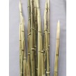 Dekorační tráva bambus