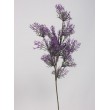 Větvička tráva lavender