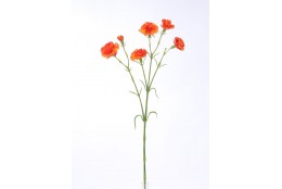 Karafiát mini oranžový 63 cm