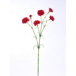 Karafiát mini červený 63 cm
