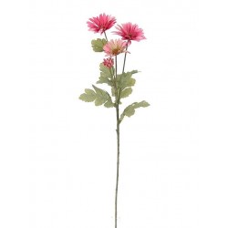Dvoutvárka starorůžovo-zelená 67 cm