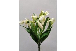 Sněženka svazek 25 cm