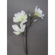 Magnolie, 55 cm