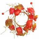 Věnec podzimní Physalis Ø 16 cm