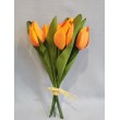 Tulipánky svazek, 6 ks