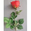 Růže  - RD - červená
