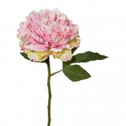 Pivoňka růžová 39 cm