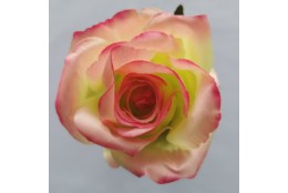 Růže růžovo-zelená vazbová 7*8 cm