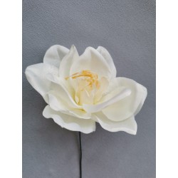 Amarylis krémová vazbovka Ø 14 cm