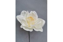 Amarylis krémová vazbovka Ø 14 cm