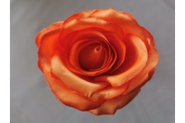 Růže tm. lososová velká vazbová 8*9 cm