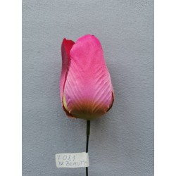 Tulipán tm. beauty vazbový 8,5 cm