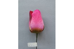 Tulipán tm. beauty vazbový 8,5 cm