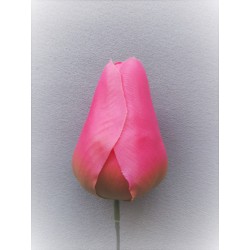 Tulipán růžový vazbový 8,5 cm